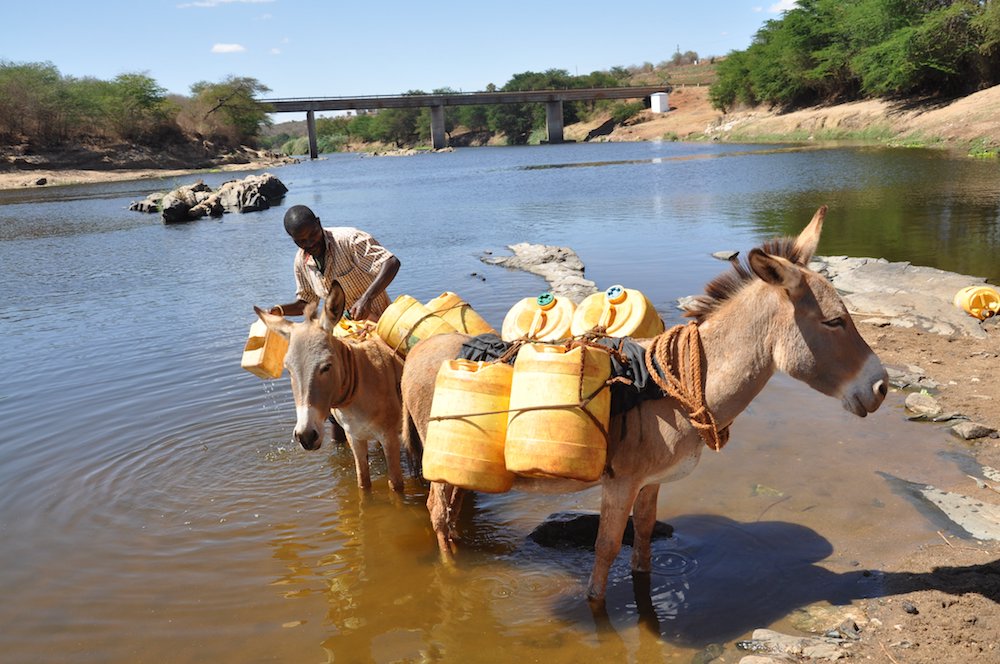 A man collects water from the Athi River near Yathui, Kenya, in October. He will use the water to irrigate crops on dry farmland. (CNS photo/Fredrick Nzwili)