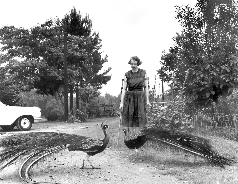 Flannery O'Connor pictured with two peacocks in a 1962 photo.