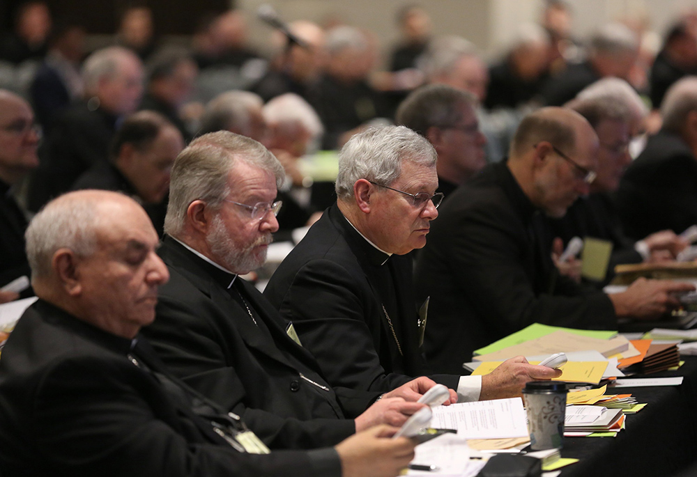 Bishop David Malloy of Rockford, Illinois, center, votes alongside other prelates June 14, 2018, during the U.S. Conference of Catholic Bishops' spring assembly in Fort Lauderdale, Florida. (OSV News/CNS file/Bob Roller)