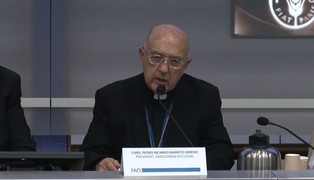Cardinal, seated, speaks as part of panel. 