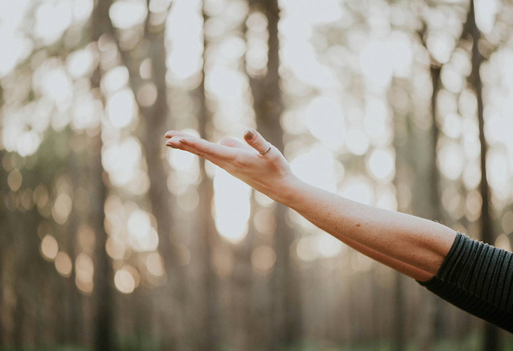 A photo illustration depicts someone reaching out with their hands in a daytime, outdoor forest setting. (Unsplash/Natalie Grainger)