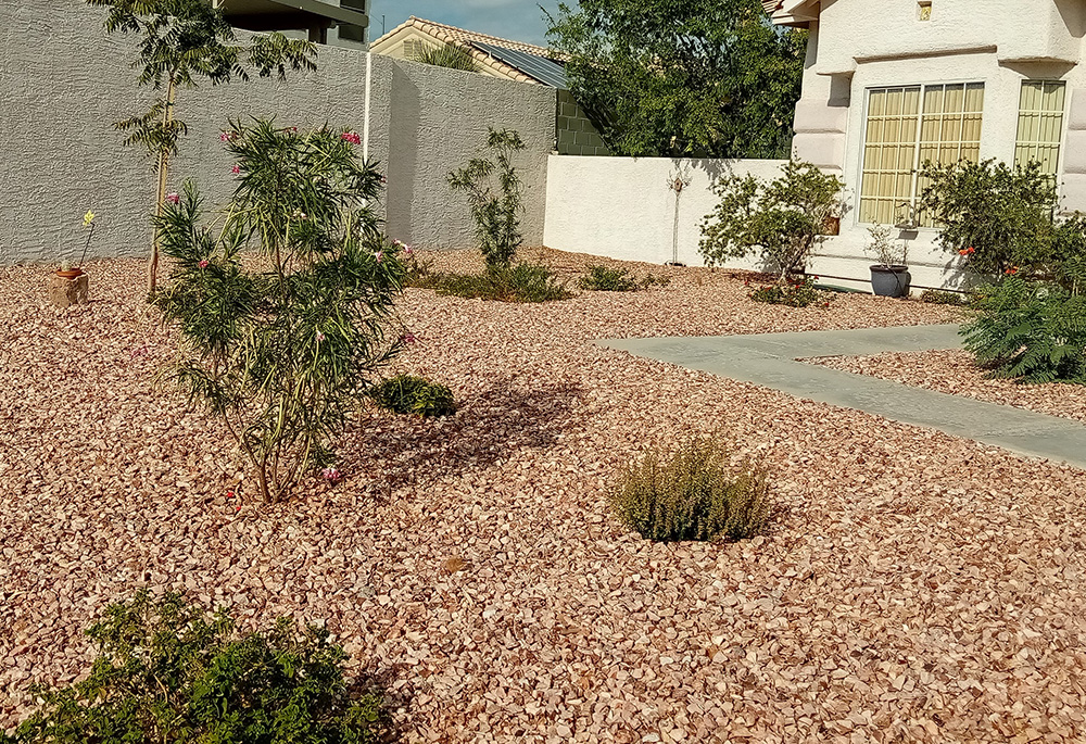 Margie Klein's yard is pictured after it had been converted to a xeric landscape, including rockscaping and southwestern native plants. (Courtesy of Margie Klein)