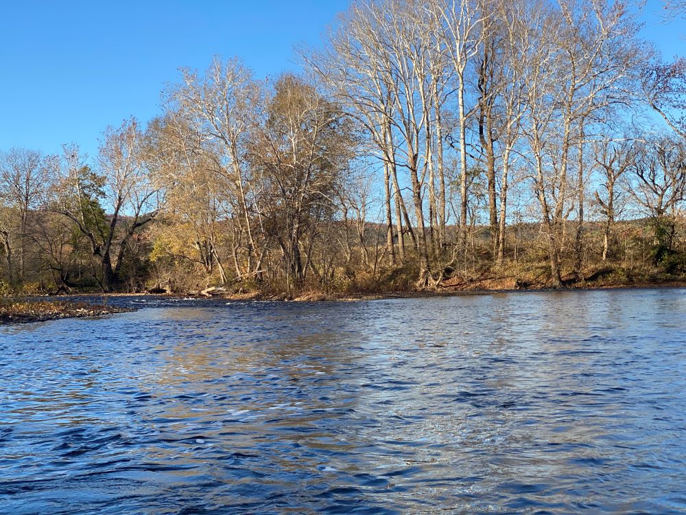 James River, Virginia's longest river, begins where the Cowpasture and Jackson rivers converge in Iron Gate, Virginia. 