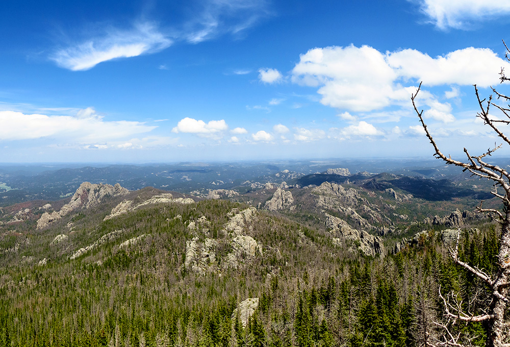 A view from the top of Black Elk Peak in South Dakota (Wikimedia Commons/Sam DeLong)