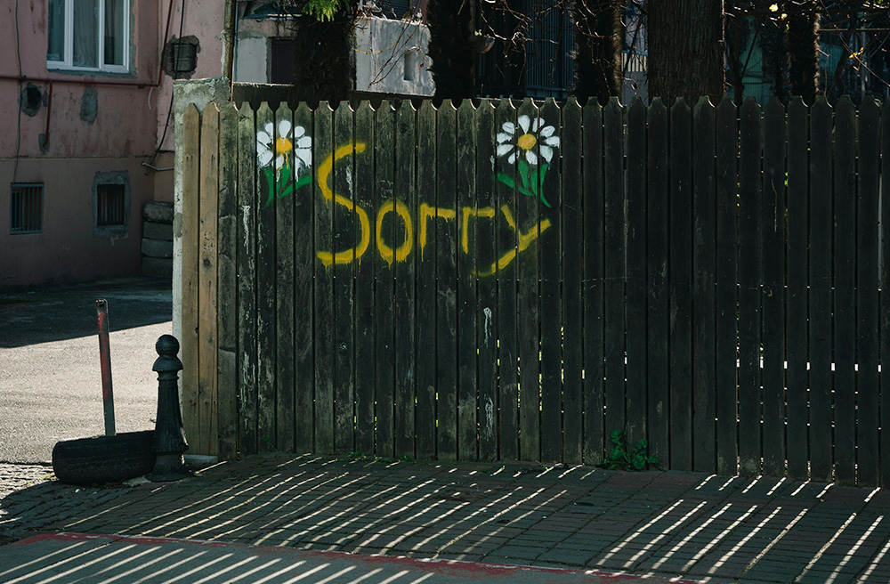 A fence with the word "sorry" in paint with white daisies (Unsplash/Nick Night)