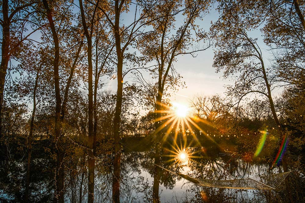 Sun shines through trees over a body of water and a hammock (Unsplash/Noah Ridge)