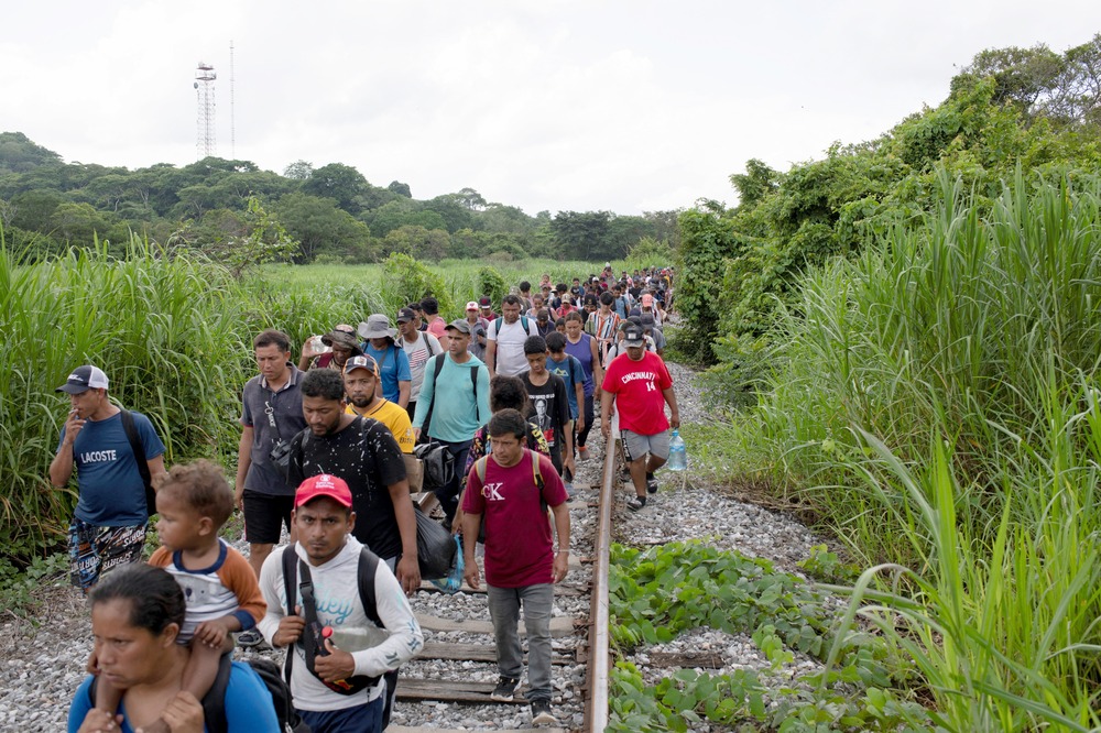 Long line of people walks down track surrounded by tallgrass.