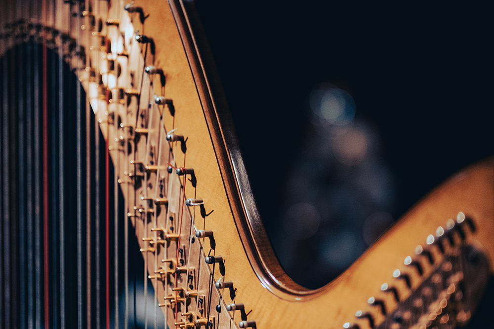 A close-up image of a harp (Unsplash/Victor Serban)