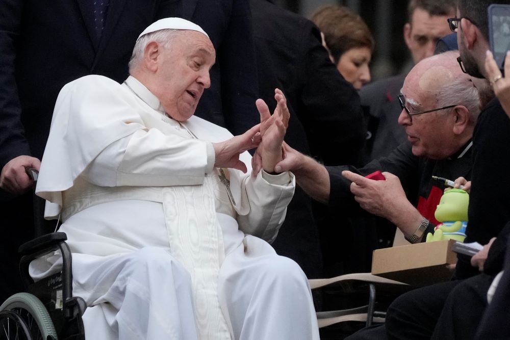 Pope Francis greets faithful during his weekly general audience in St. Peter's Square at the Vatican Nov. 20. (AP/Gregorio Borgia)