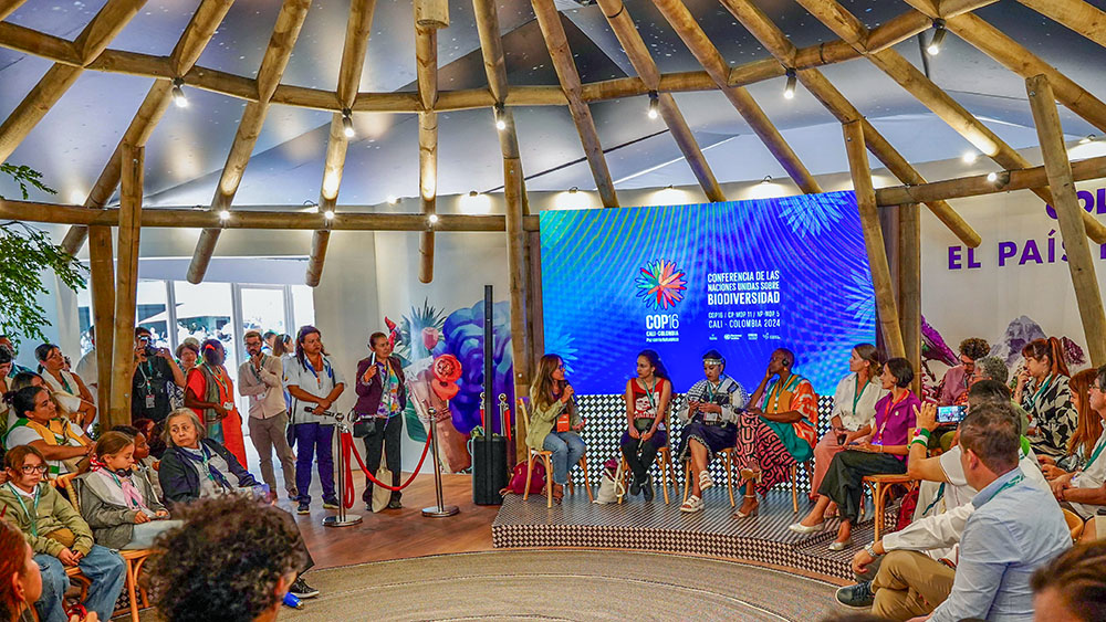 A panel discusses justice for environmental defenders at the COP16 U.N. biodiversity summit Oct. 23, in Cali, Colombia. One of the main outcomes of the conference was the establishment of a permanent advisory body for Indigenous peoples on conservation. (Flickr/UN Biodiversity)