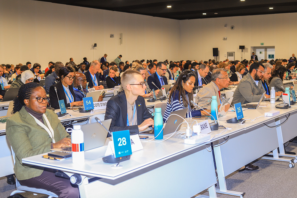 Delegates listen as heads of state deliver speeches during the World Leaders Climate Action Summit Nov. 13 at the United Nations climate change conference, COP29, in Baku, Azerbaijan. (NCR photo/Doreen Ajiambo)