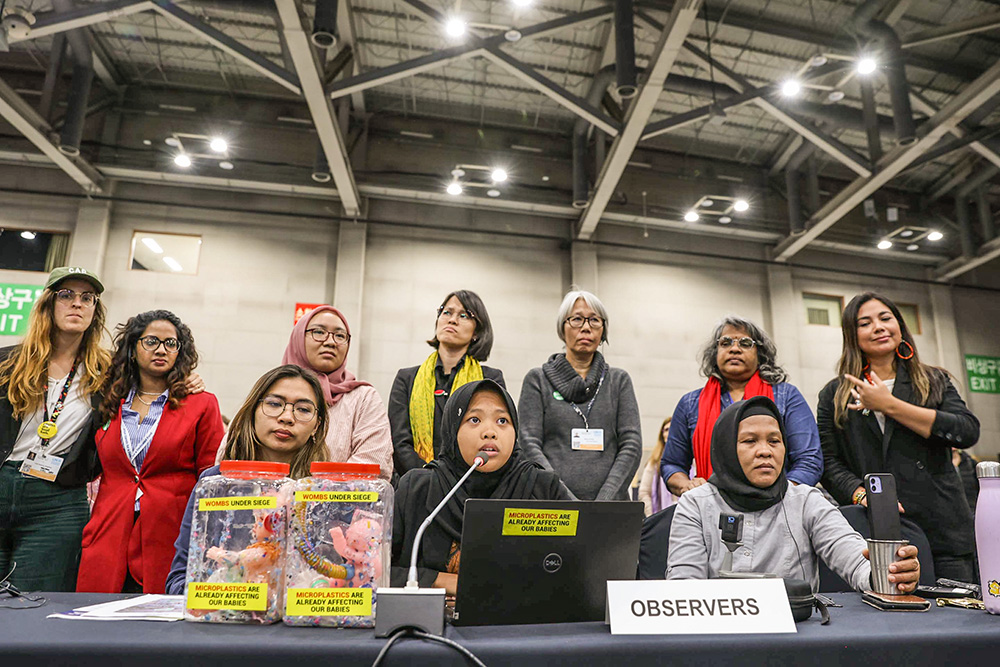 Members of the Break Free From Plastic movement address the closing plenary during the U.N.-led fifth round of negotiations on a global plastic pollution treaty in Busan, South Korea, on Dec. 1. (IISD/ENB/Kiara Worth)