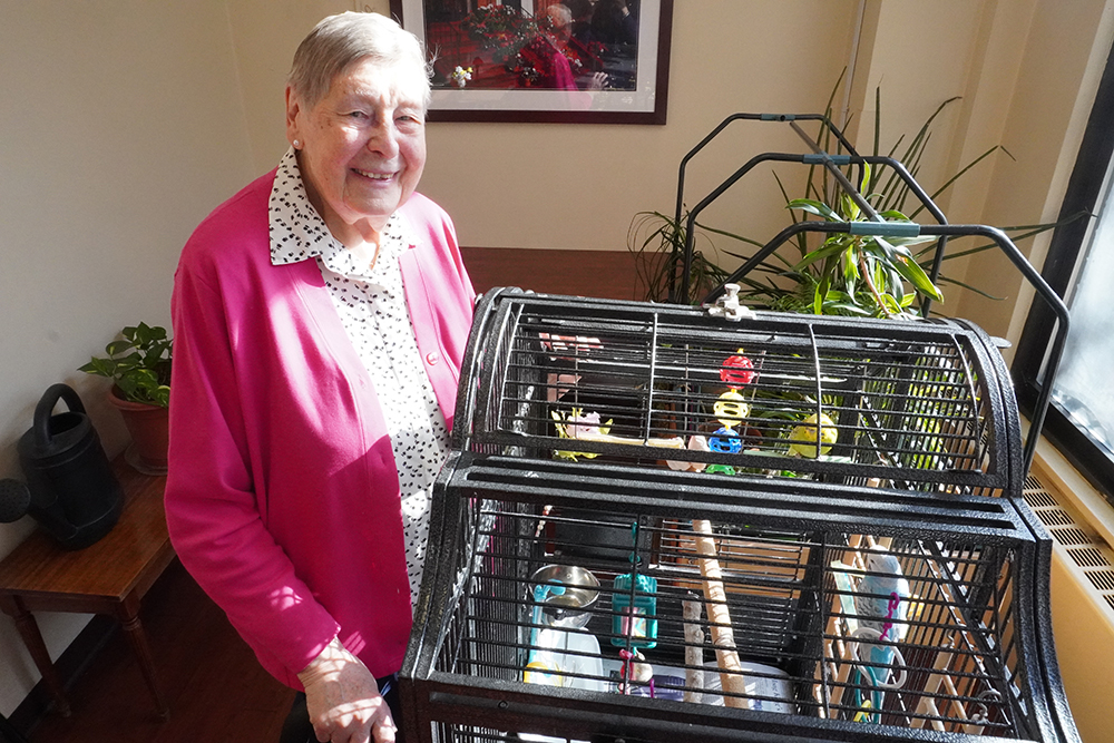 Sr. Marie Louise Vernimmen, 90, a retired nun and resident at Kittay New Jewish Home since 2015, taking care of the Belle and Romeo, the parrots of the home on Dec. 13, 2024. (NCR photo/Camillo Barone)