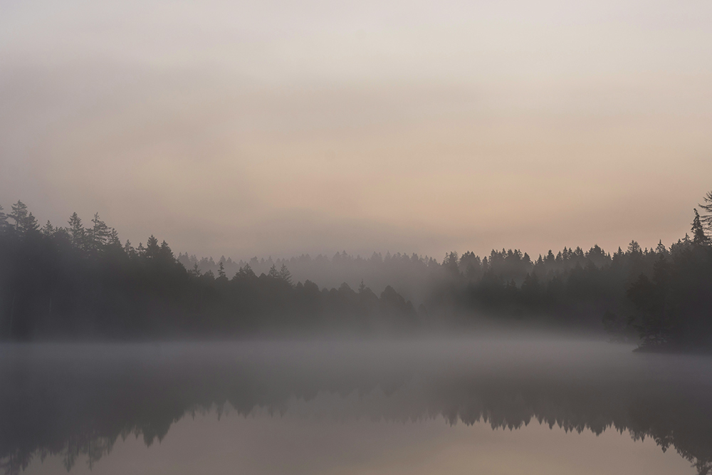 Misty lake (Unsplash/Dennis Mettler)