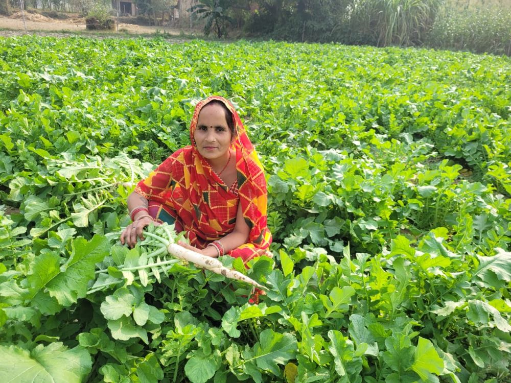 woman in garden