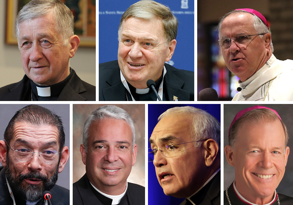 Pictured in the top row, from left to right, are Cardinal Blase Cupich; Cardinal Joseph Tobin; and Bishop John Dolan. Pictured, bottom row, from left, are Bishop Daniel Flores; Archbishop Nelson Pérez; Archbishop-designate Joe Vásquez; and Archbishop John Wester (OSV News/CNS files; Bob Roller; Robert Duncan; Courtesy of Philadelphia Archdiocese; Bob Roller; Courtesy of Santa Fe Archdiocese/Leslie Radigan)