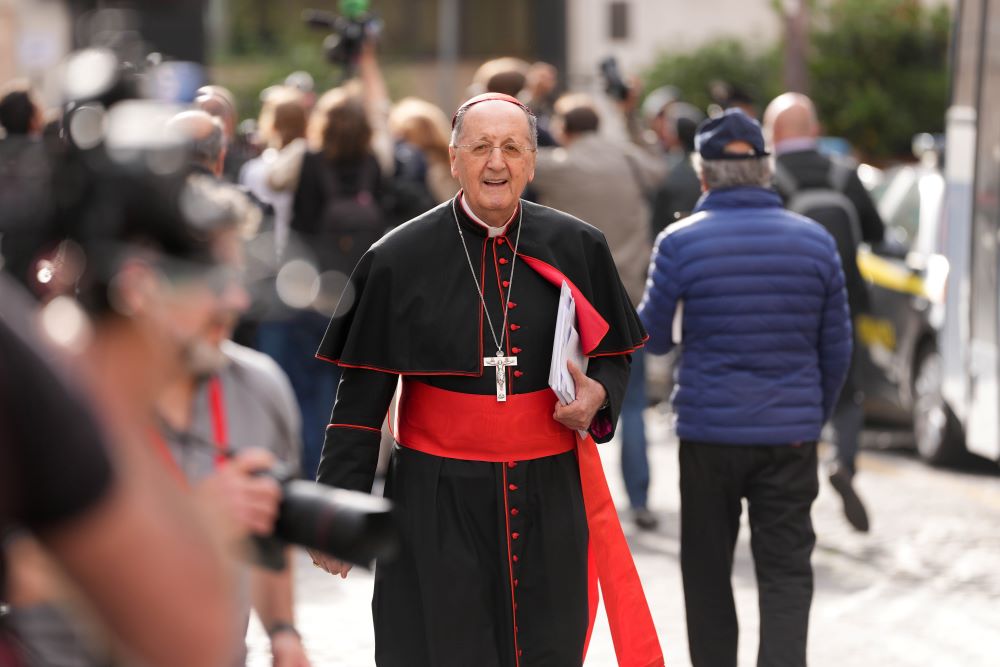 Cardinal Stella
