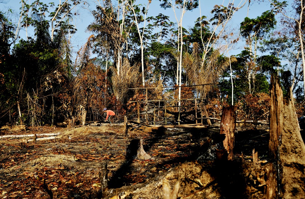 A wildcat gold miner builds his makeshift home at a deforested area of the Amazon rainforest near Crepurizao, Brazil, in 2017. (CNS/Reuters/Nacho Doce) 