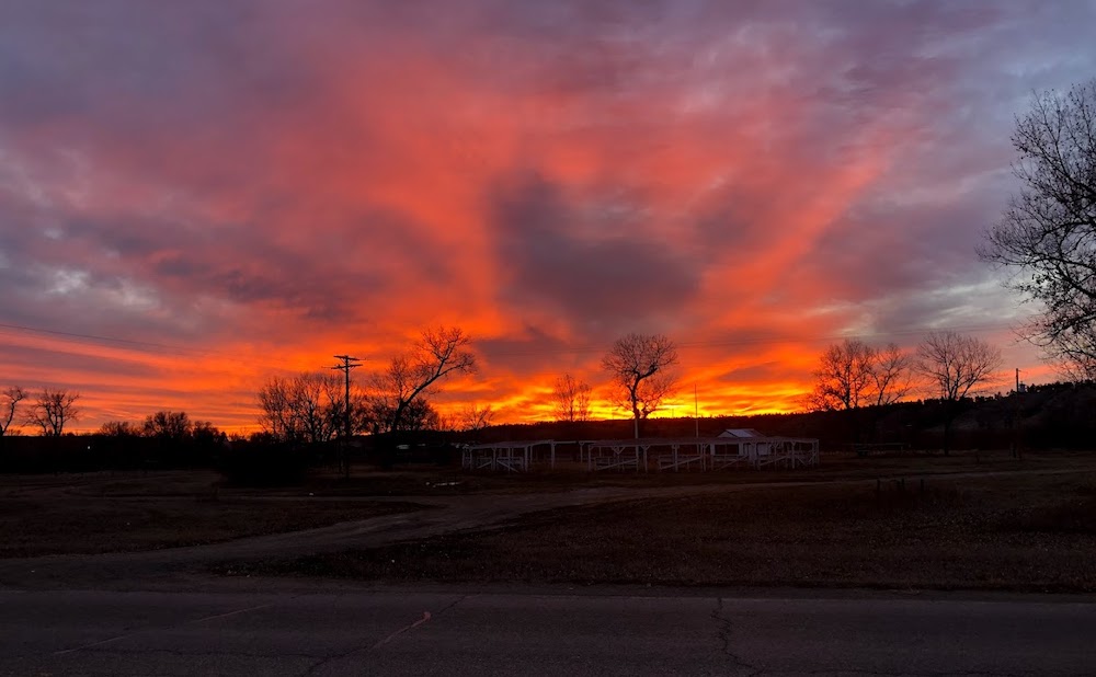 Orange sunrise and trees