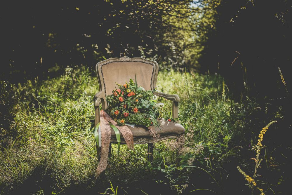 chair in woods