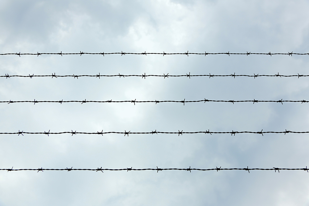 Barbed wire and sky (Unsplash/Robert Klank)