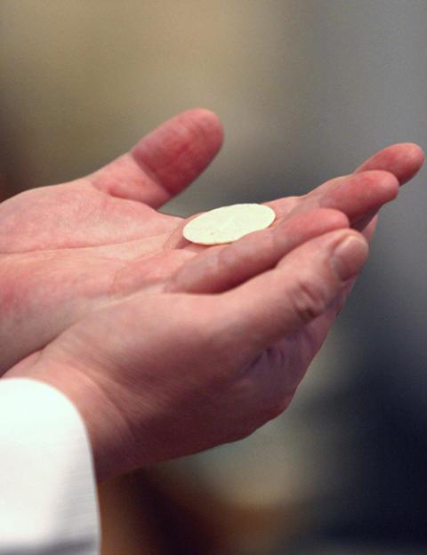 A priest holds a host as he concelebrates Mass in a 2005 file photo. (CNS/Gregory A. Shemitz, Long Island Catholic)