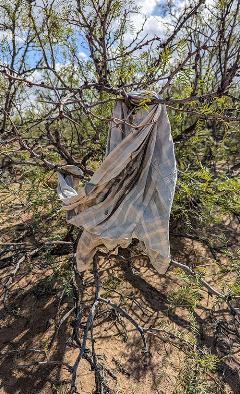 A woman's shirt dangles from the branch of a bush in the Santa Teresa Desert in southern New Mexico. (Pauline Hovey)