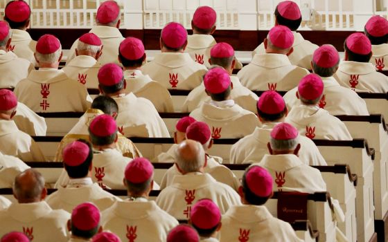 U.S. bishops listen to a homily during Mass at the Basilica of the National Shrine of the Assumption of the Blessed Virgin Mary in Baltimore on the eve of the November 2017 general assembly of the U.S. Conference of Catholic Bishops. (CNS/Bob Roller)