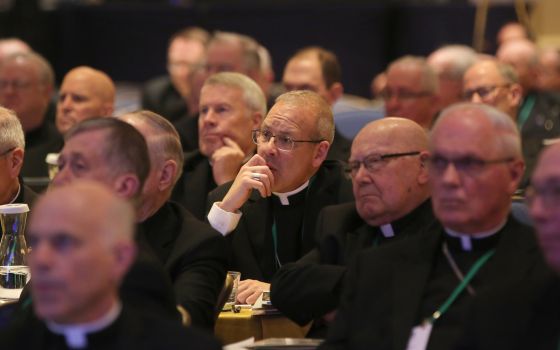 Bishops listen to a speaker Nov. 14 at the fall general assembly of the U.S. Conference of Catholic Bishops in Baltimore. (CNS/Bob Roller)