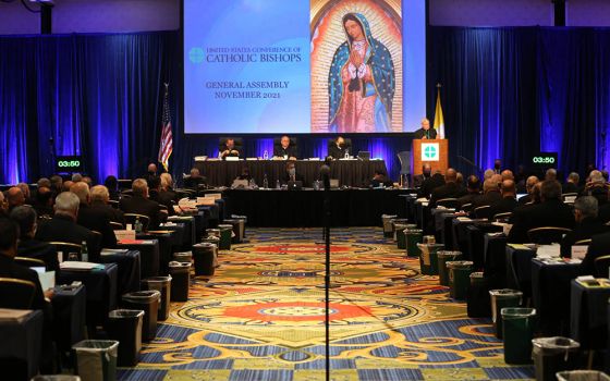 Bishops attend a Nov. 16 session of the fall general assembly of the U.S. Conference of Catholic Bishops in Baltimore. (CNS/Bob Roller)