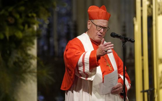 A cardinal stands in front of a microphone in a dimly lit space