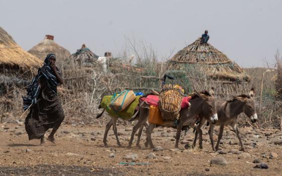 A woman drives donkeys to transport water in the drought-stricken district of Higlo Kebele, Ethiopia, Feb. 8, 2022. Catholic church leaders in Ethiopia welcomed a U.S.-funded food security program launched March 16, 2023, that will benefit millions of people suffering drought in the Horn of Africa country. (OSV News/Reuters/World Food Program/Michael Tewelde)