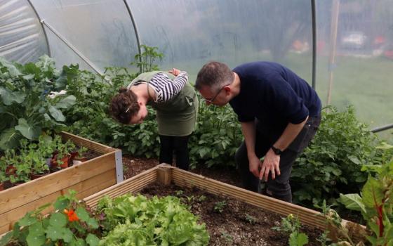 Kevin Hargaden, theologian, and Ciara Murphy, environmental biologist, authors of "The Parish as Oasis: An Introduction to Practical Environmental Care" are seen in the polytunnel in the garden behind Gardiner Street Parish in Dublin. Their book is a resource for parishes responding to Irish bishops' request that parishes conserve 30% of their property for pollinators and biodiversity. (Courtesy of Jesuit Centre for Faith and Justice)