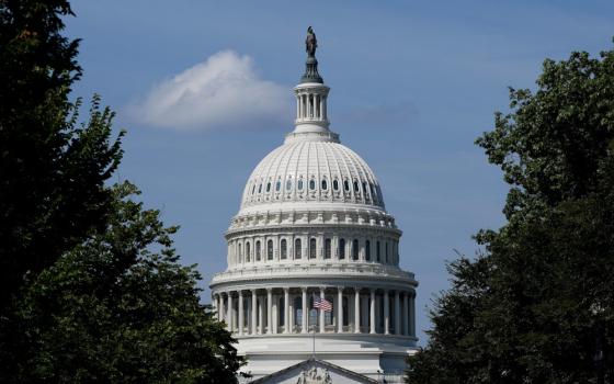 The dome and statue atop the U.S. Capitol building is visible between two trees