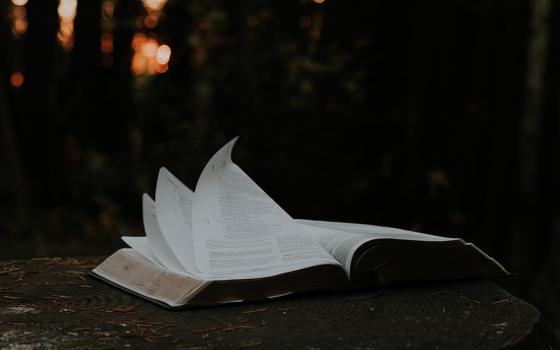 Wind blows pages of an open Bible on the ground in an outdoor setting, in this photo illustration. (Unsplash/Priscilla Du Preez)