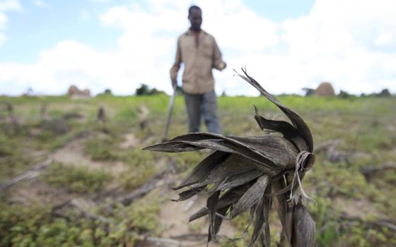 Man walks in field towards camera