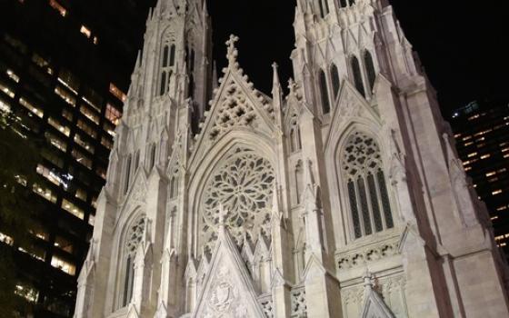 Looming cathedral edifice lit-up against night sky