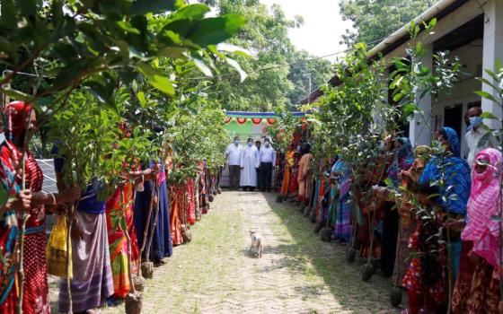 A church official distributes trees to rows of people.