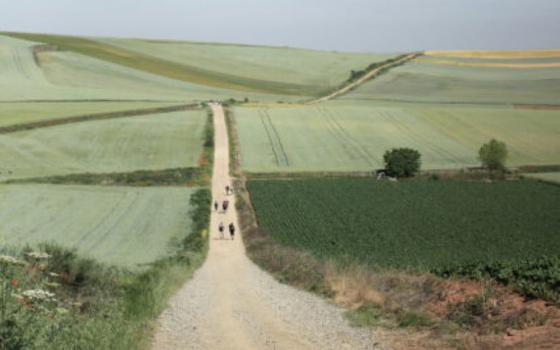 Pilgrims along the Camino de Santiago in northern Spain. 