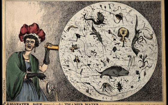 Cartoon depicts woman aghast and seeing microbial content of the Thames river. 