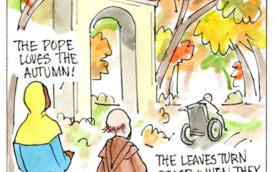 Francis, the comic strip: When are trees most beautiful? Brother Leo says it's when the leaves let go.