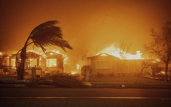  Burning house and trees. 