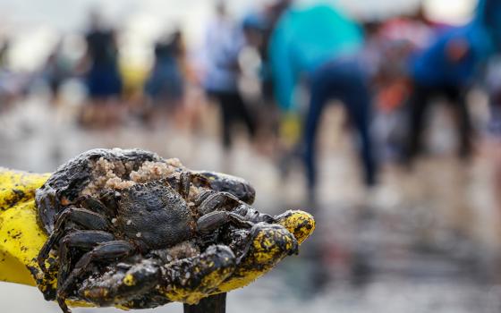 A man in Cabo de Santo Agostinnho, Brazil, shows a crab covered in oil Oct. 20, 2019, as he and others work to clean the site of an oil spill. A group of 100, including 21 bishops, released a public letter Feb. 18 criticizing the Lula administration's plans for oil exploration near the mouth of the Amazon River. (CNS/Reuters/Diego Nigro)