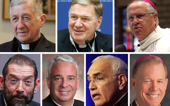 Pictured in the top row, from left to right are Cardinal Blase Cupich; Cardinal Joseph Tobin; and Bishop John Dolan Pictured in the bottom row, from left, are Bishop Daniel E. Flores; Archbishop-designate Nelson Pérez; Bishop Joe Vasquez; and Archbishop John Wester (OSV News/CNS files; Bob Roller; Robert Duncan; Courtesy of Philadelphia Archdiocese; Bob Roller; Courtesy of Santa Fe Archdiocese/Leslie Radigan)