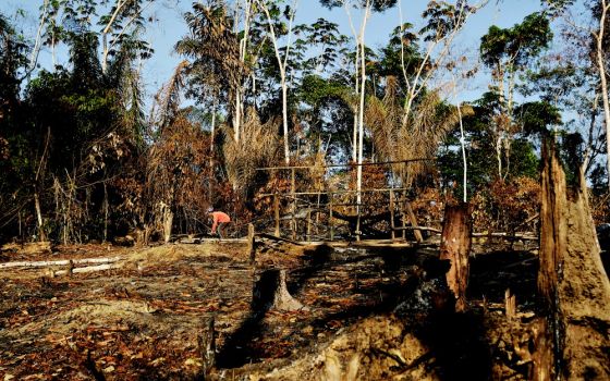 A wildcat gold miner builds his makeshift home at a deforested area of the Amazon rainforest near Crepurizao, Brazil, in 2017. (CNS/Reuters/Nacho Doce) 