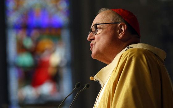 Cardinal Timothy Dolan preaching