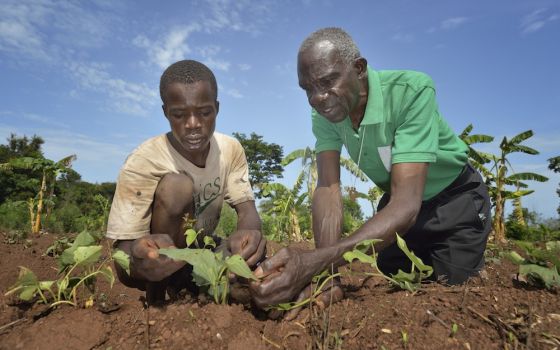 Climate-friendly farming techniques drew a mixed response from respondents to international poll. (CNS photo/Paul Jeffrey)