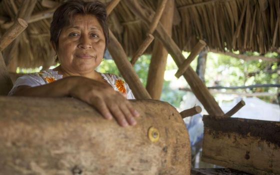 Leydy Pech, a Mayan beekeeper, led a fight against plantations of genetically modified soy that were decimating wild bees in her region of Mexico. (Robin Canul for AIDA)