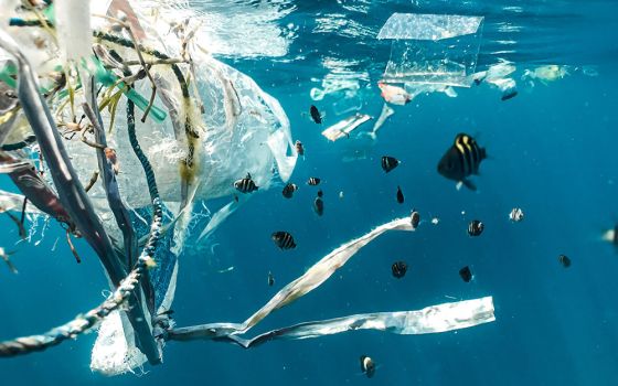 Plastic litter is seen among fish in Indonesia. (Unsplash/Naja Bertolt Jensen)