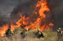 Firefighters battle a wind-driven wildfire in Canyon Country near Los Angeles in October 2019. (CNS photo/Gene Blevins, Reuters)